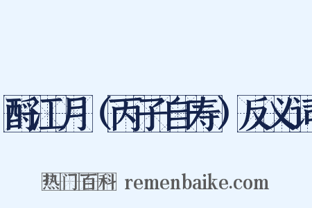 酹江月（丙子自寿）反义词是什么意思的图片